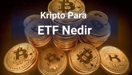 Kripto Finans Eğitim Kaynakları